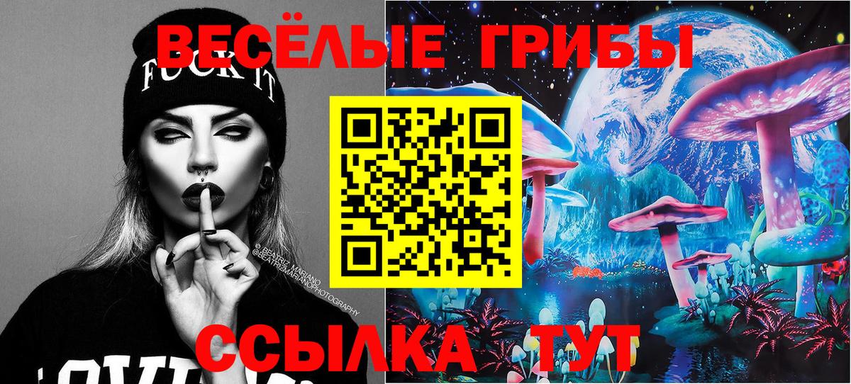 Псилоцибиновые грибы Cubensis Троицк