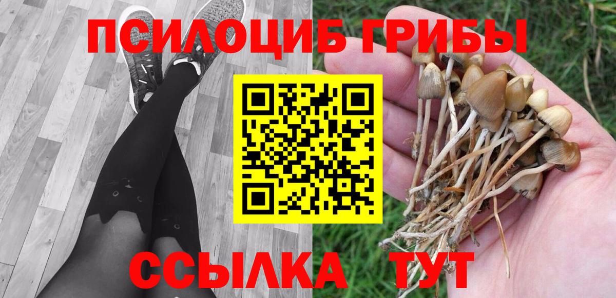 наркота  Галлюциногенные грибы Magic Shrooms  Вход с VPN  Троицк 